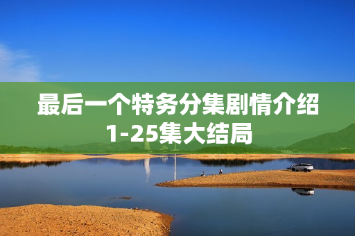 最后一个特务分集剧情介绍1-25集大结局