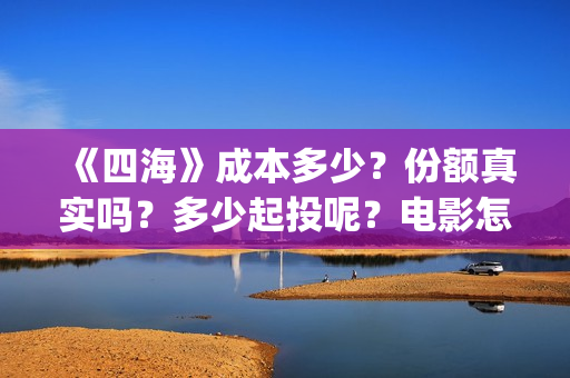 《四海》成本多少？份额真实吗？多少起投呢？电影怎么投资(四海剧情)