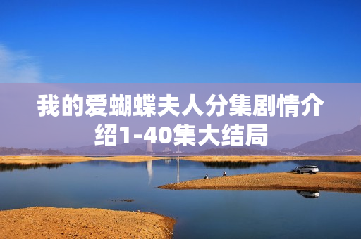 我的爱蝴蝶夫人分集剧情介绍1-40集大结局