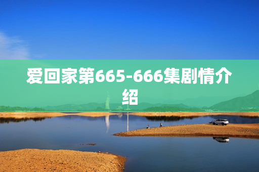 爱回家第665-666集剧情介绍