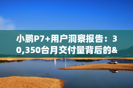 小鹏P7+用户洞察报告：30,350台月交付量背后的"油智同价"革命