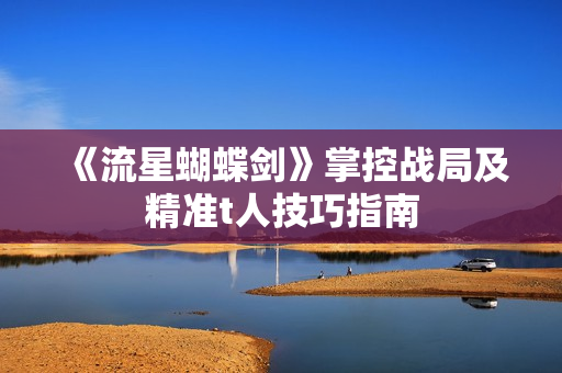《流星蝴蝶剑》掌控战局及精准t人技巧指南