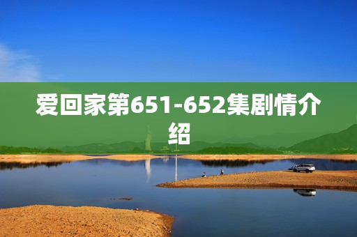 爱回家第651-652集剧情介绍