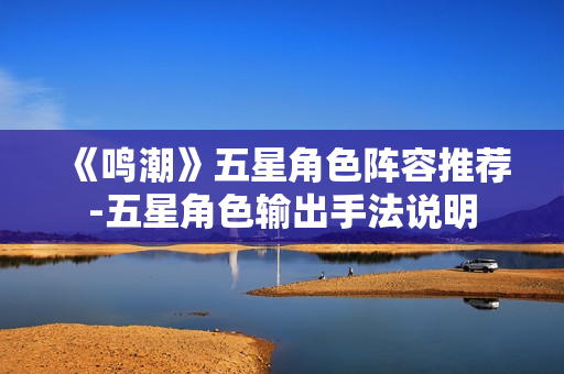 《鸣潮》五星角色阵容推荐-五星角色输出手法说明