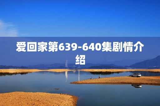 爱回家第639-640集剧情介绍