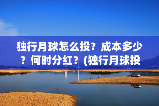 独行月球怎么投？成本多少？何时分红？(独行月球投资方)