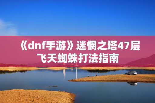 《dnf手游》迷惘之塔47层飞天蜘蛛打法指南