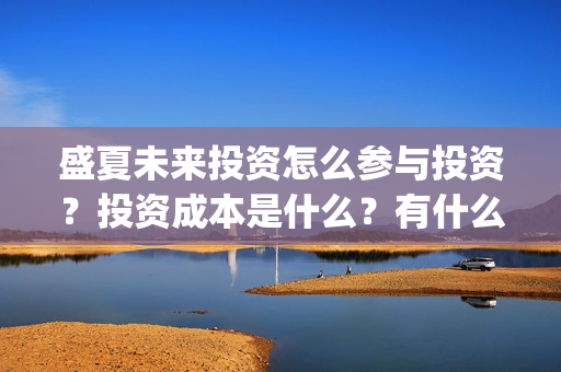 盛夏未来投资怎么参与投资？投资成本是什么？有什么风险？(盛夏未来能投吗)