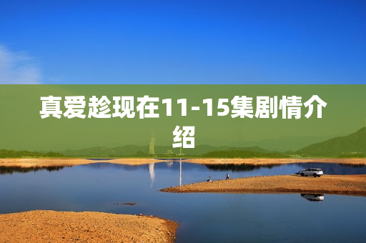 真爱趁现在11-15集剧情介绍