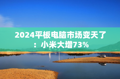 2024平板电脑市场变天了：小米大增73%