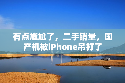 有点尴尬了，二手销量，国产机被iPhone吊打了