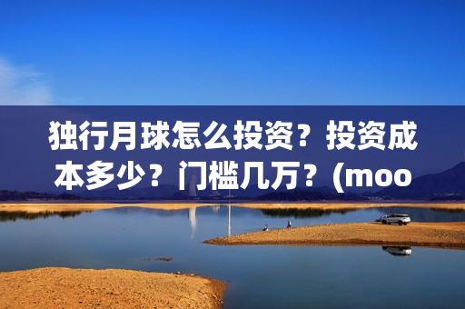 独行月球怎么投资？投资成本多少？门槛几万？(moonyou-独行月球)