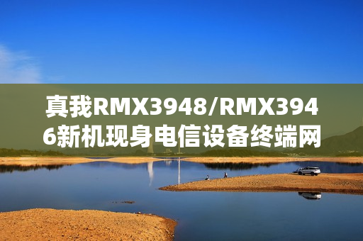 真我RMX3948/RMX3946新机现身电信设备终端网：4880mAh电池、屏幕分辨率720×1604