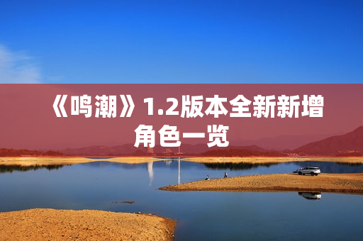 《鸣潮》1.2版本全新新增角色一览