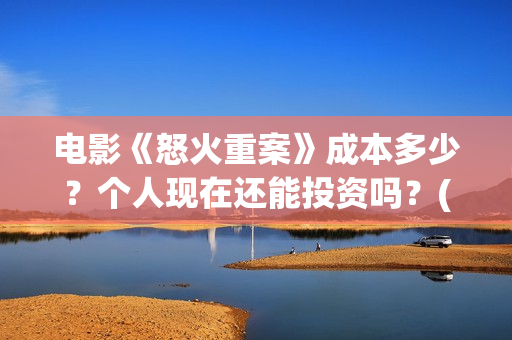 电影《怒火重案》成本多少？个人现在还能投资吗？(谢霆锋最新电影怒火重案)