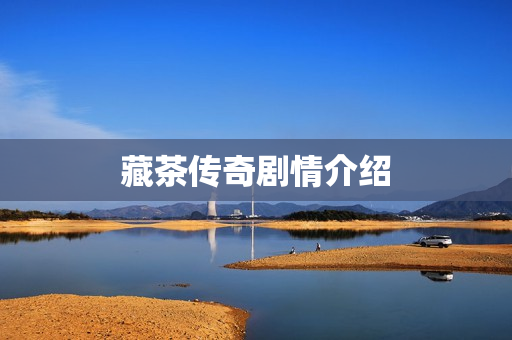 藏茶传奇剧情介绍