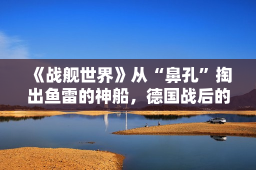 《战舰世界》从“鼻孔”掏出鱼雷的神船，德国战后的驱逐舰怎么有股谐味？