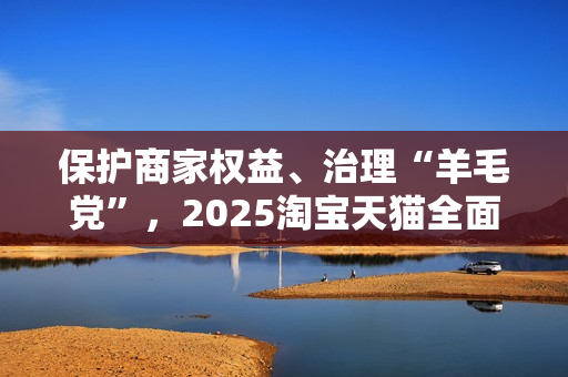 保护商家权益、治理“羊毛党”，2025淘宝天猫全面提升营商环境