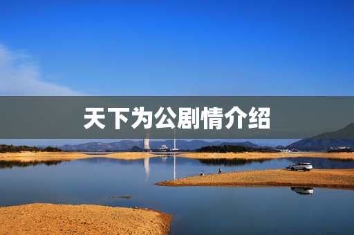 天下为公剧情介绍