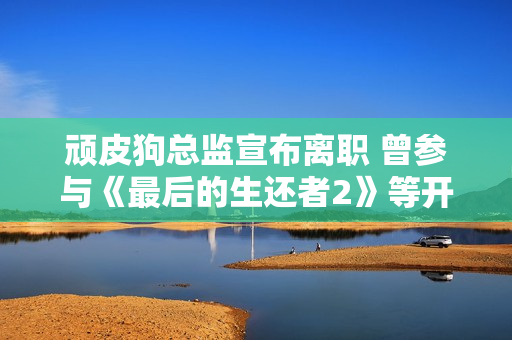 顽皮狗总监宣布离职 曾参与《最后的生还者2》等开发