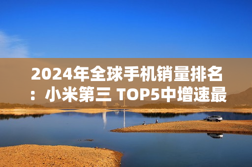 2024年全球手机销量排名：小米第三 TOP5中增速最快