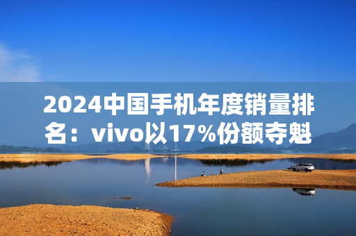 2024中国手机年度销量排名：vivo以17%份额夺魁 连续第4年国产第一 成功靠本分