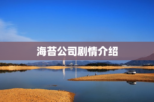海苔公司剧情介绍
