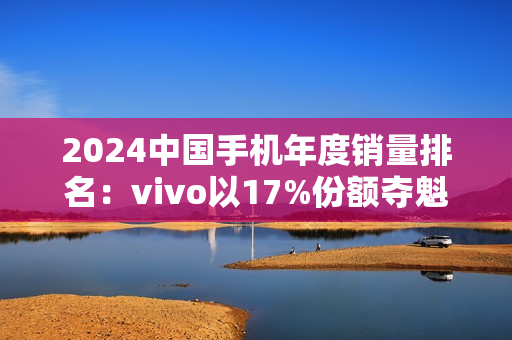 2024中国手机年度销量排名：vivo以17%份额夺魁，连续第4年国产第一，成功靠本分