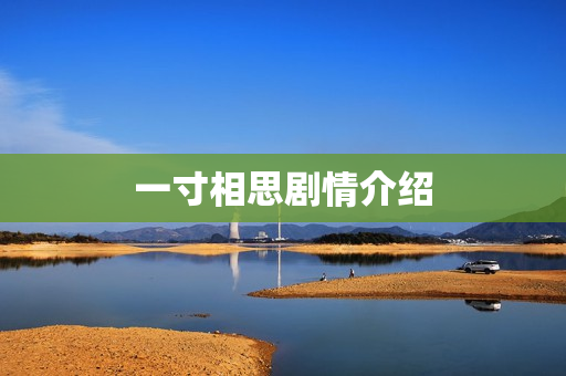 一寸相思剧情介绍