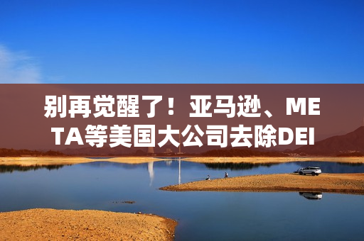别再觉醒了！亚马逊、META等美国大公司去除DEI