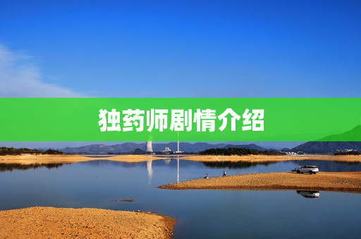 独药师剧情介绍