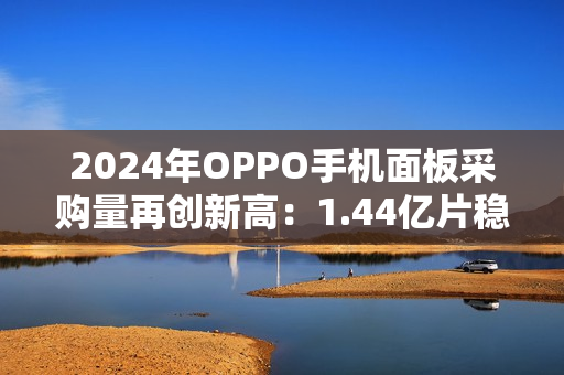 2024年OPPO手机面板采购量再创新高：1.44亿片稳居全球第二