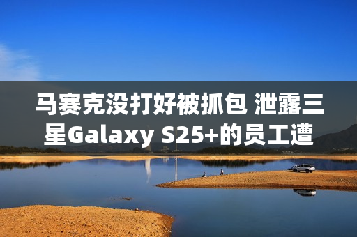 马赛克没打好被抓包 泄露三星Galaxy S25+的员工遭到开除