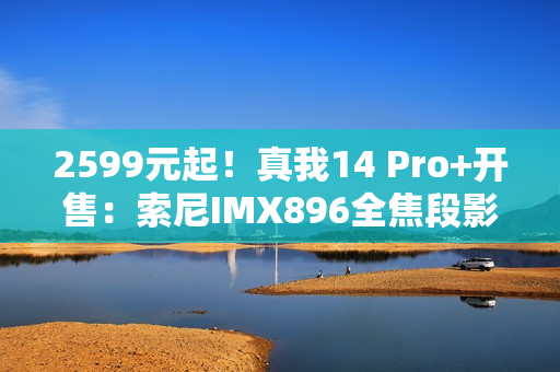 2599元起！真我14 Pro+开售：索尼IMX896全焦段影像 三颗闪光灯超霸气
