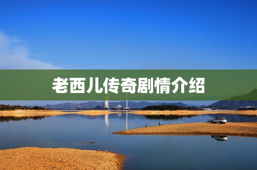 老西儿传奇剧情介绍