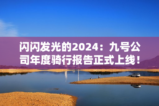 闪闪发光的2024：九号公司年度骑行报告正式上线！