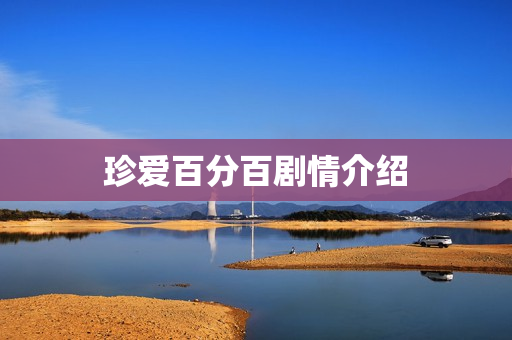 珍爱百分百剧情介绍