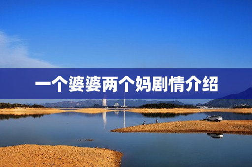 一个婆婆两个妈剧情介绍