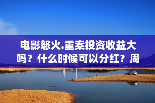 电影怒火.重案投资收益大吗？什么时候可以分红？周期？(电影怒火重案2国语)