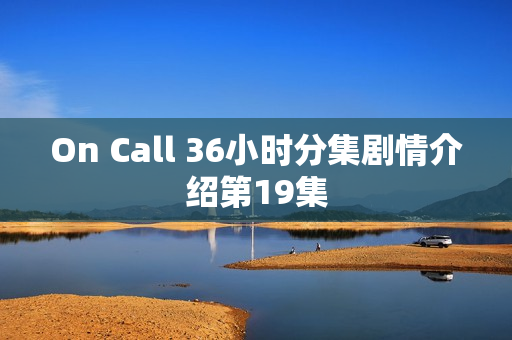 On Call 36小时分集剧情介绍第19集