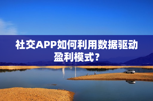 社交APP如何利用数据驱动盈利模式？