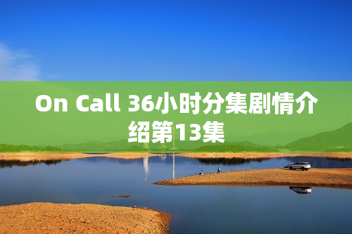 On Call 36小时分集剧情介绍第13集