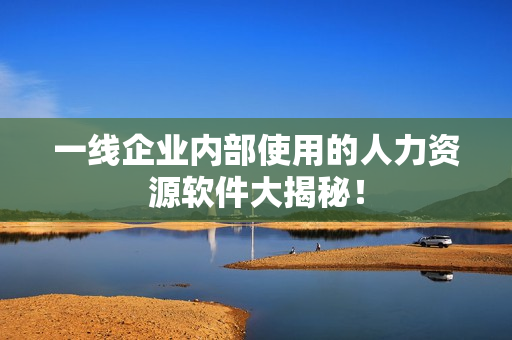 一线企业内部使用的人力资源软件大揭秘！