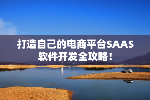 打造自己的电商平台SAAS软件开发全攻略！