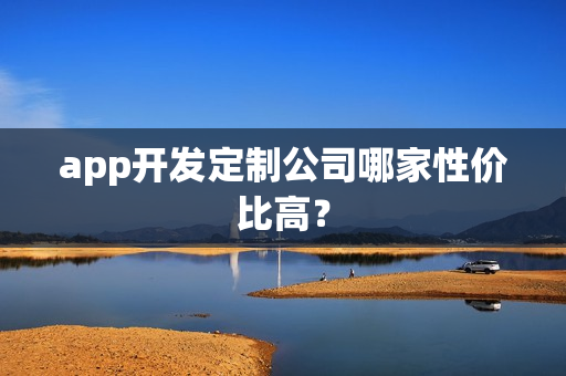 app开发定制公司哪家性价比高？