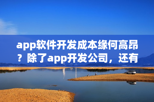 app软件开发成本缘何高昂？除了app开发公司，还有没有其他app开发方式？