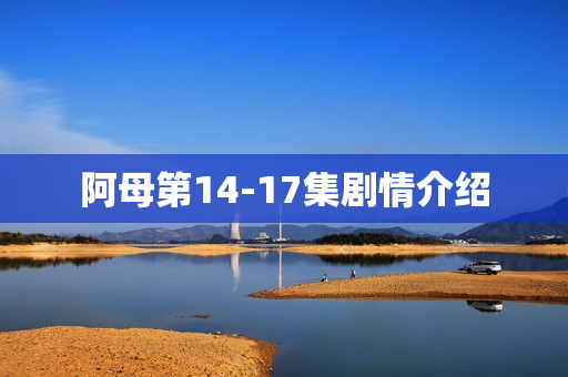 阿母第14-17集剧情介绍