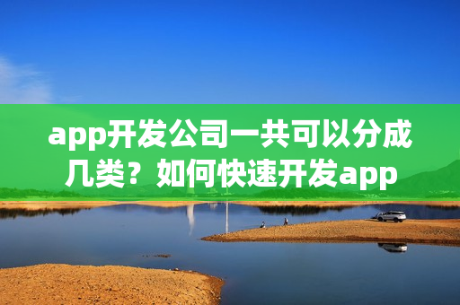 app开发公司一共可以分成几类？如何快速开发app