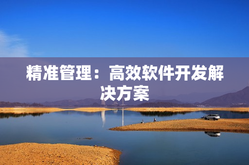 精准管理：高效软件开发解决方案