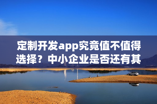 定制开发app究竟值不值得选择？中小企业是否还有其他选择？